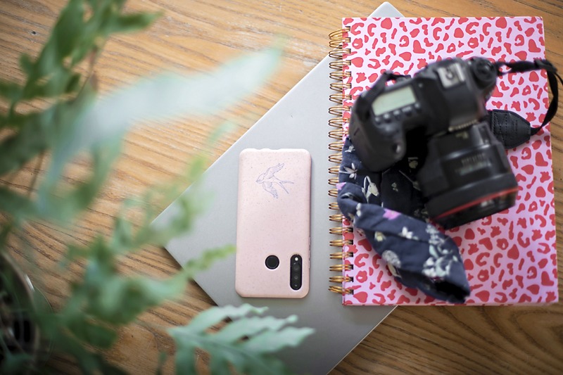 phone, camera, notebook and laptop in a pile next to plant