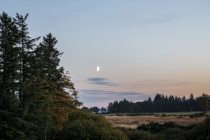 moonrise over fields