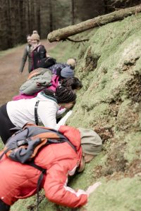 moss facial