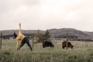 yoga teacher doing warrior in a field with sheep